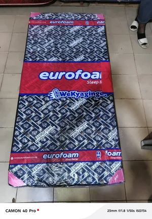 3x6 By4 Inche. Eurofoam Mattress Sealed Cover