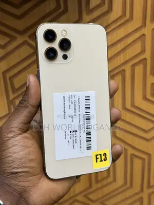 Apple iPhone 12 Pro Max 256 GB Gold