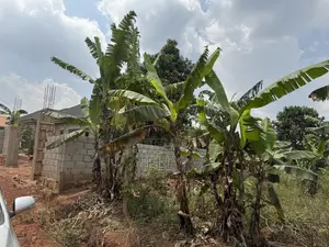 Land in Kagala Sonde 25 Decimals