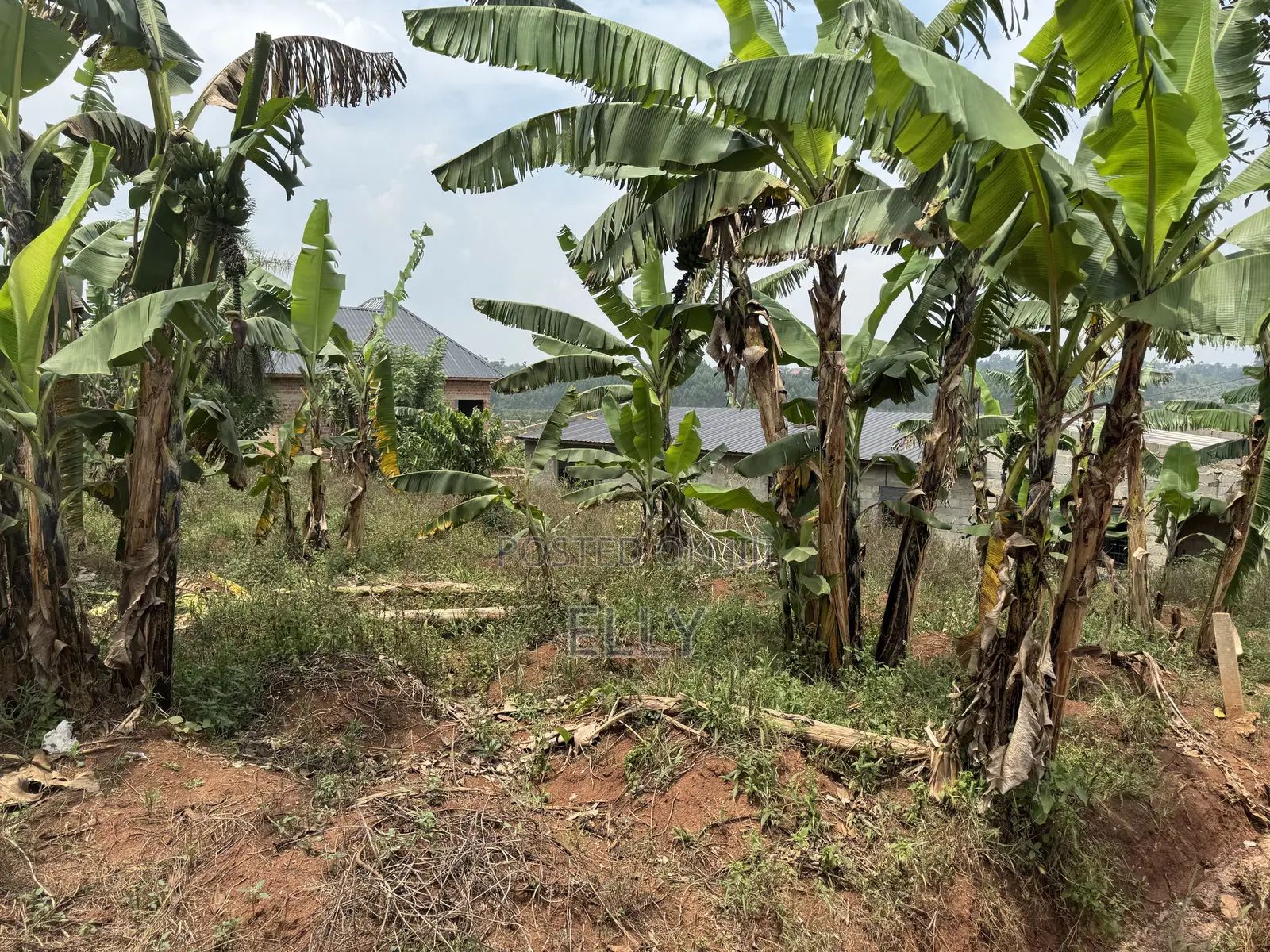 Land in Kagala Sonde 25 Decimals
