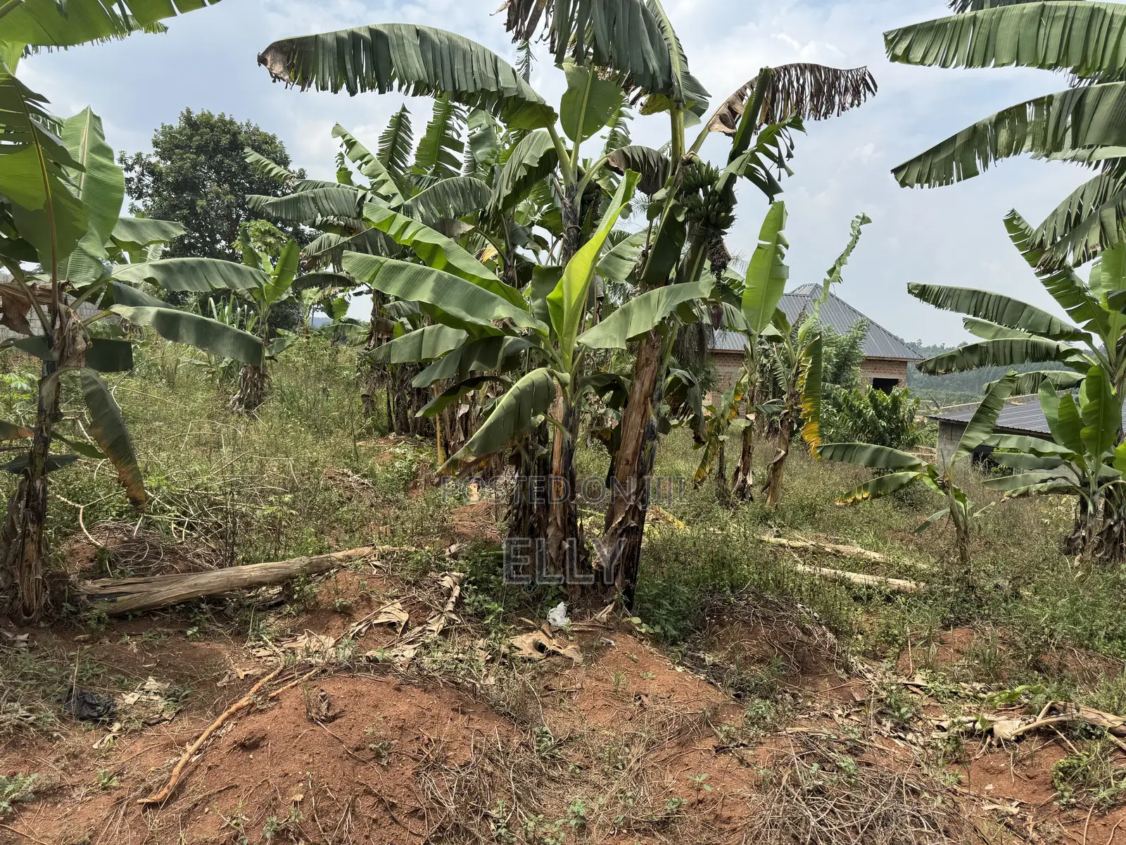 Land in Kagala Sonde 25 Decimals