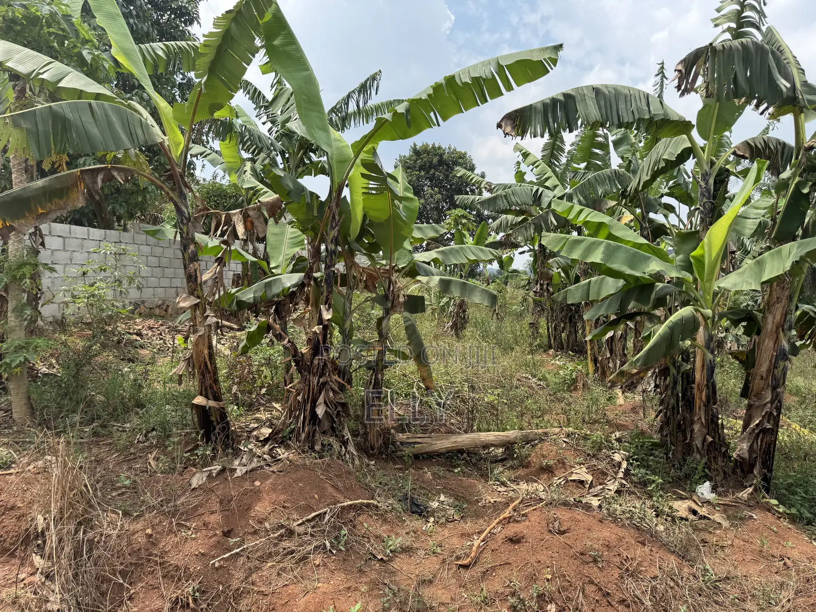 Land in Kagala Sonde 25 Decimals