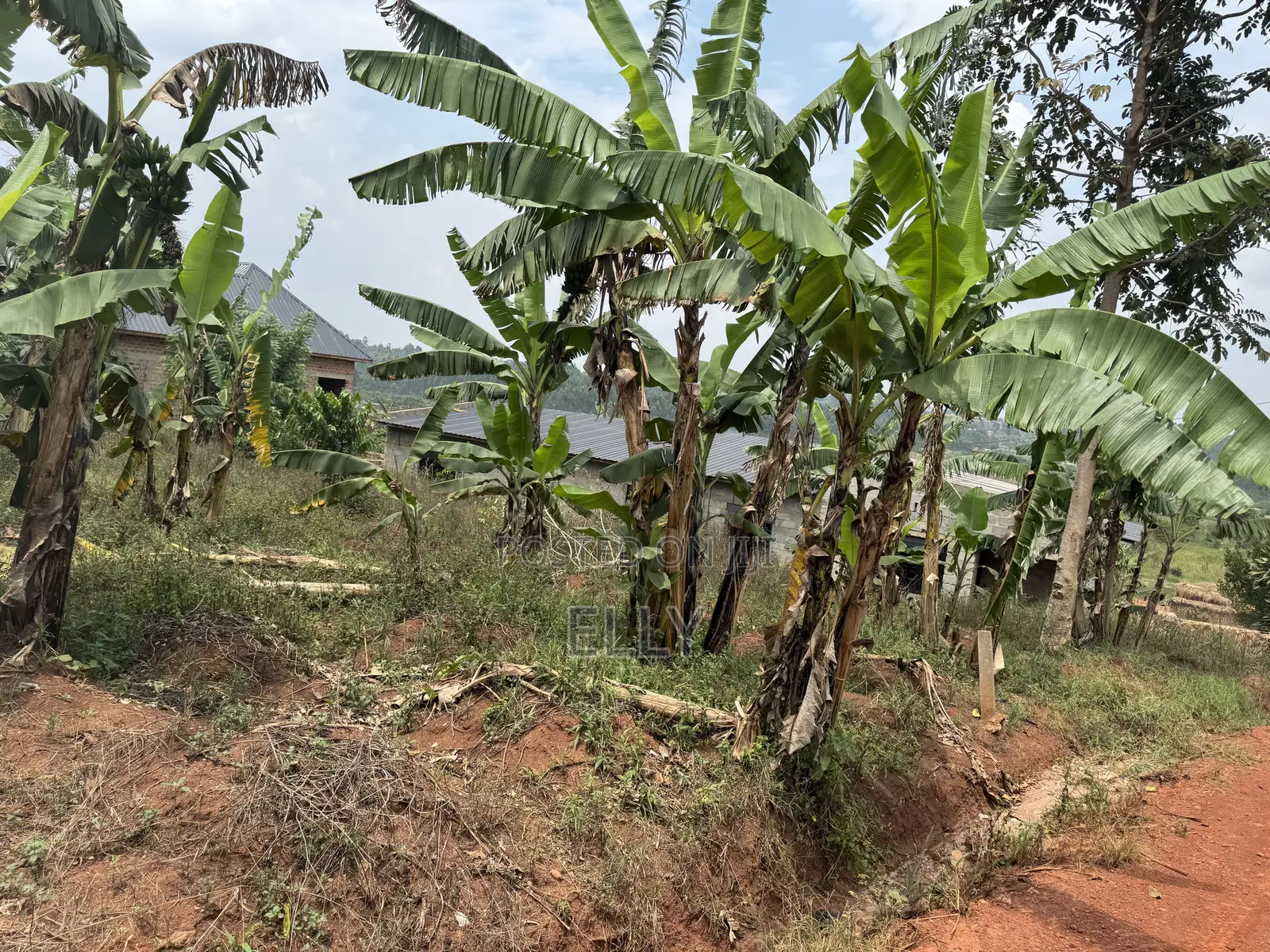 Land in Kagala Sonde 25 Decimals