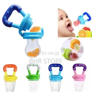 Baby Fruit Feeders