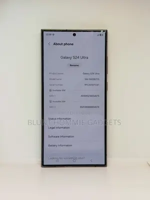 Samsung Galaxy S24 Ultra 256 GB