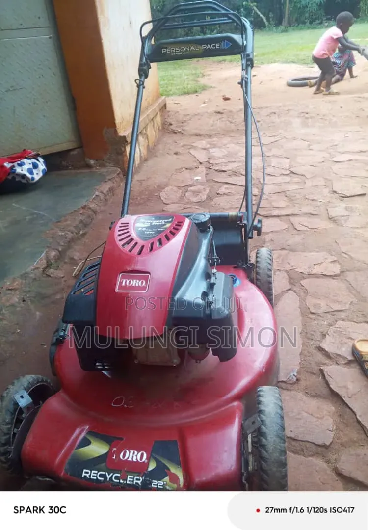 Toro Recycler 22" – Personal Pace Lawn Mower (7.25 HP,)