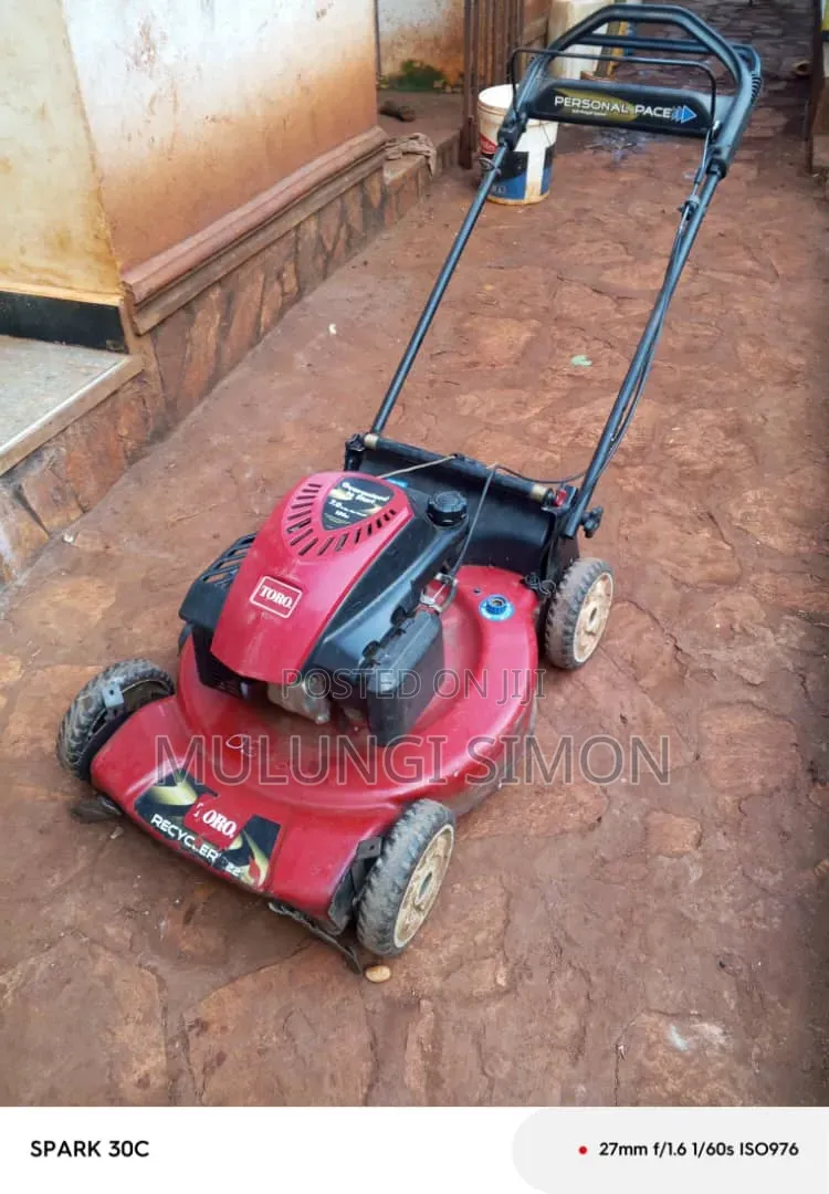 Toro Recycler 22" – Personal Pace Lawn Mower (7.25 HP,)
