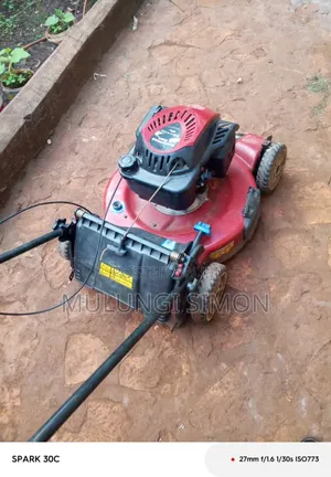 Toro Recycler 22" – Personal Pace Lawn Mower (7.25 HP,)