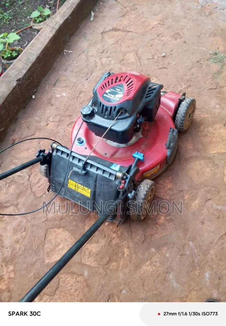 Toro Recycler 22" – Personal Pace Lawn Mower (7.25 HP,)