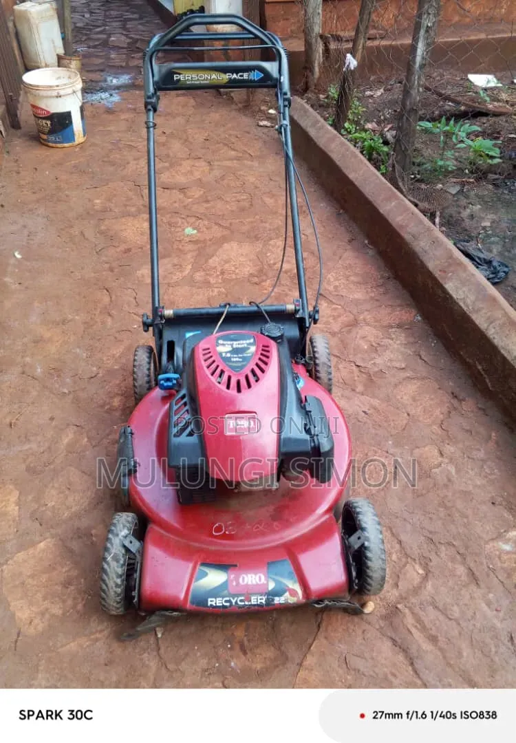 Toro Recycler 22" – Personal Pace Lawn Mower (7.25 HP,)