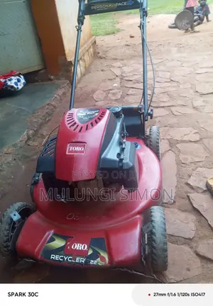 Toro Recycler 22" – Personal Pace Lawn Mower (7.25 HP,)