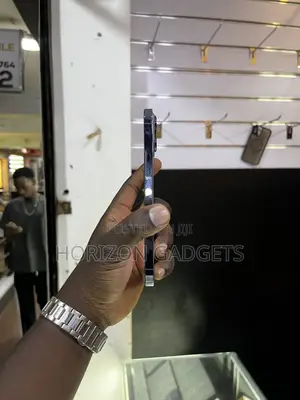 Apple iPhone 13 Pro Max 128 GB Blue