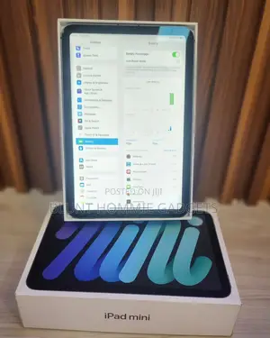 Apple iPad mini 6 64 GB Gray