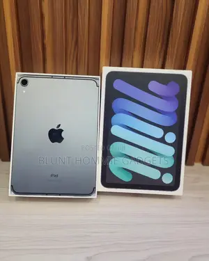 Apple iPad mini 6 64 GB Gray