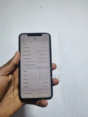 Apple iPhone 11 Pro Max 256 GB Blue