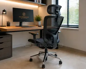Ergonomic Office Chair Solutions