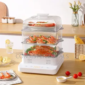 Electric Steamer Household Multi-Functional Electric Steamer