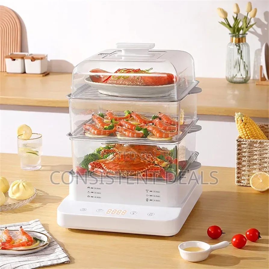 Electric Steamer Household Multi-Functional Electric Steamer
