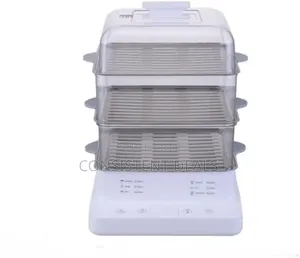 Electric Steamer Household Multi-Functional Electric Steamer