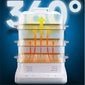 Electric Steamer Household Multi-Functional Electric Steamer
