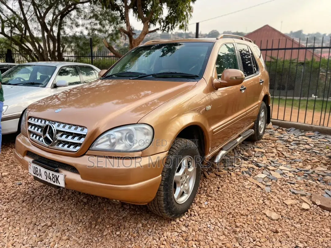 Mercedes-Benz M Class 2004 Gold