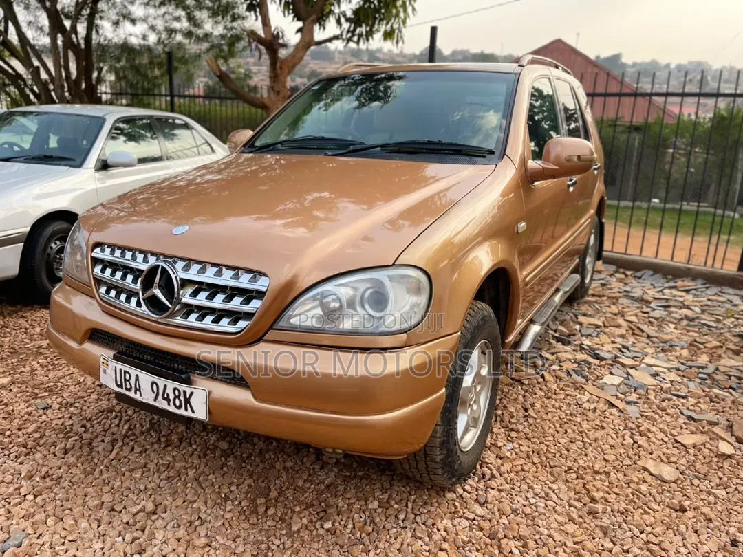 Mercedes-Benz M Class 2004 Gold