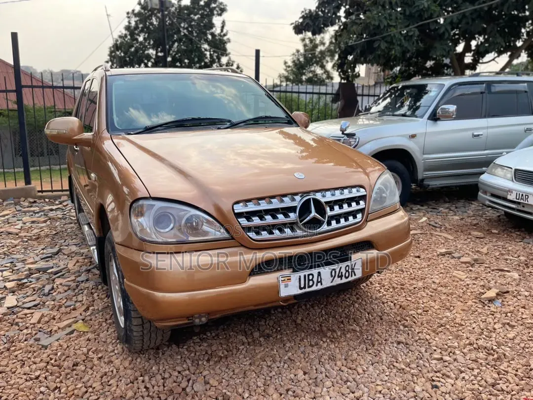 Mercedes-Benz M Class 2004 Gold