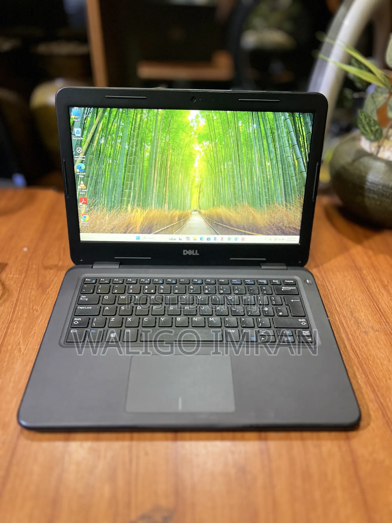 Laptop Dell Latitude 3310 4GB Intel Celeron SSD 128GB
