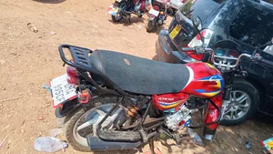 Bajaj CT 125X 2024 Red