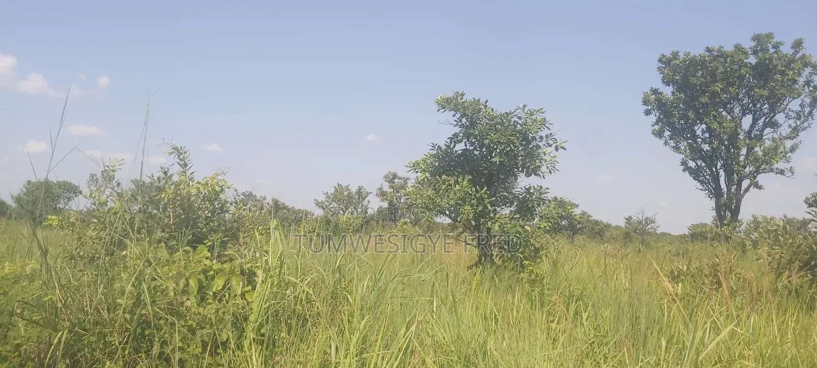Land for Sale in Northern Uganda