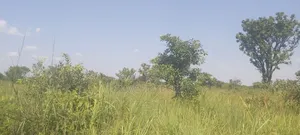 Land for Sale in Northern Uganda