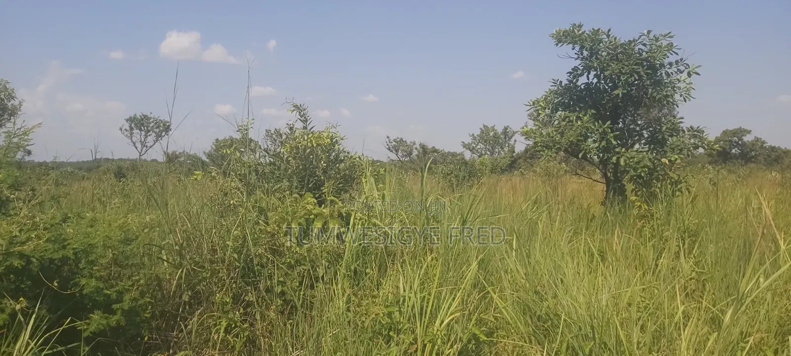 Land for Sale in Northern Uganda