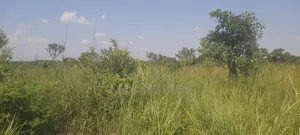 Land for Sale in Northern Uganda