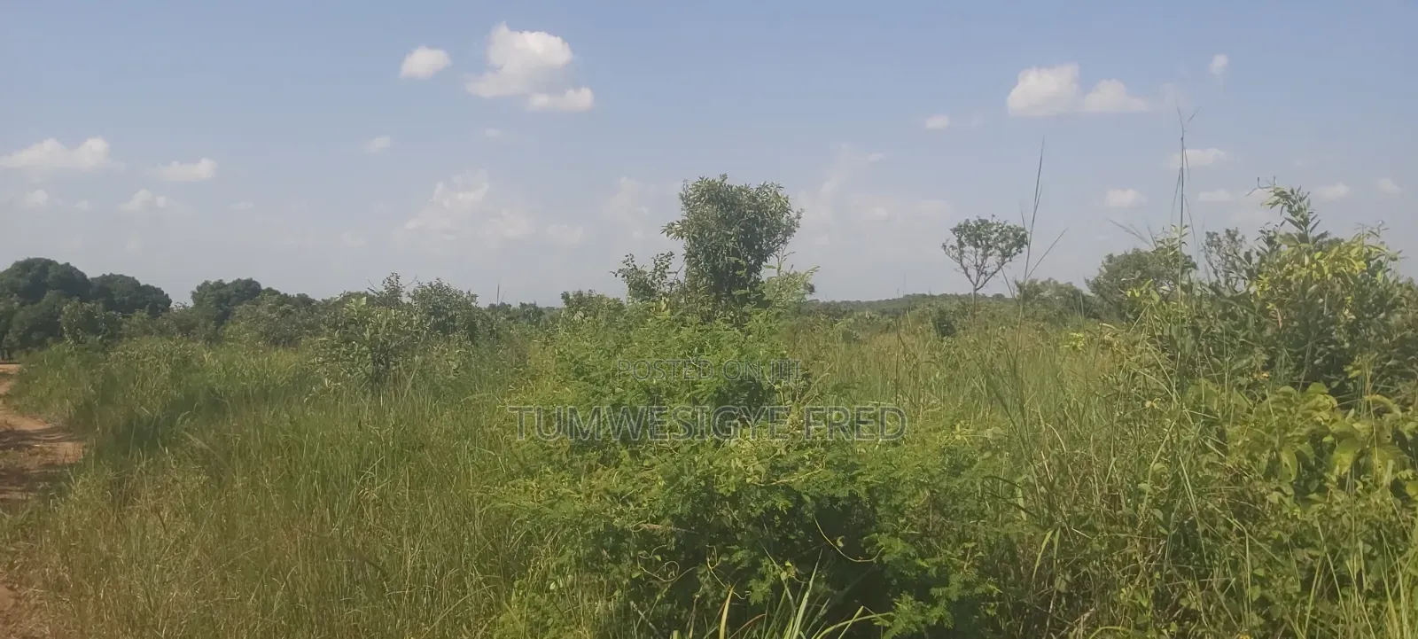 Land for Sale in Northern Uganda