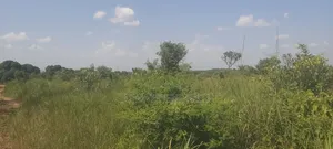 Land for Sale in Northern Uganda