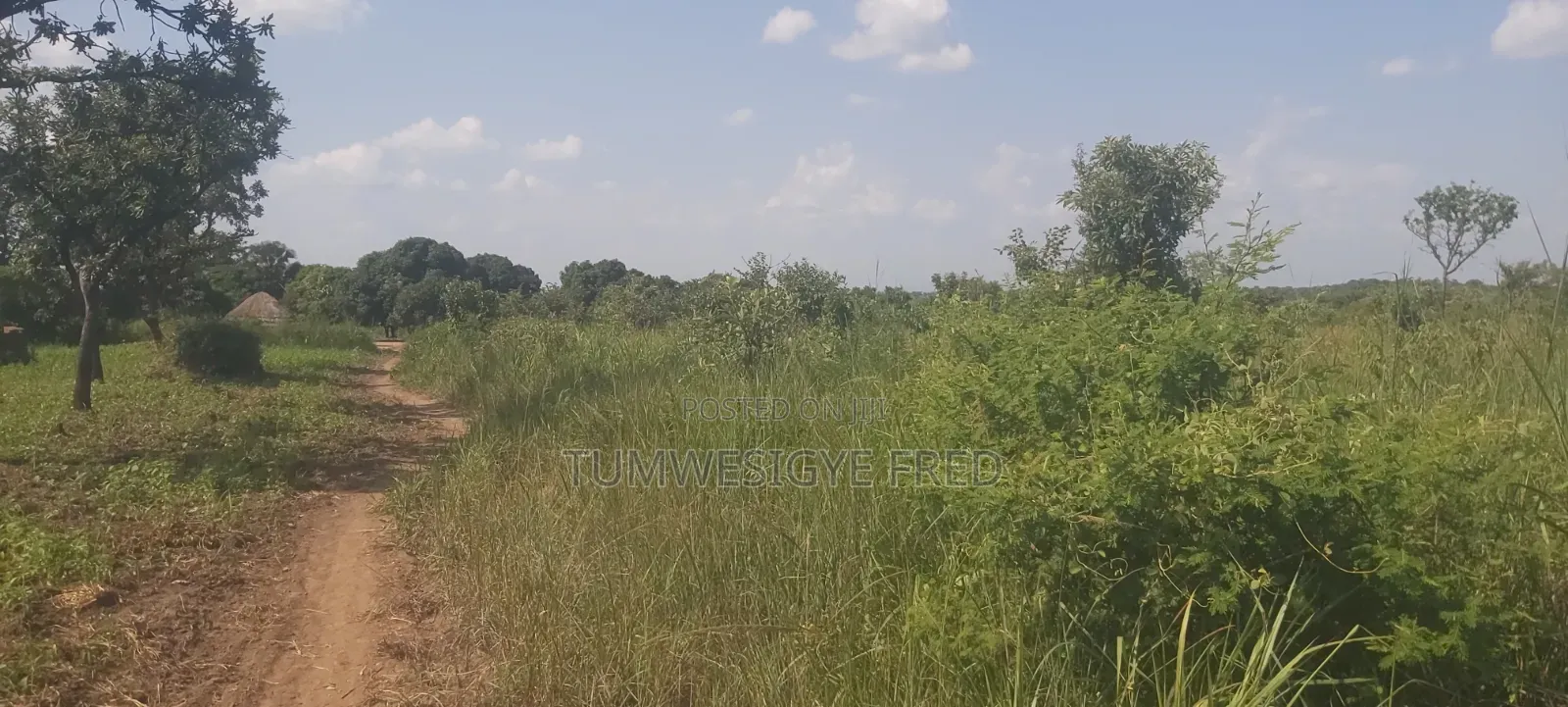 Land for Sale in Northern Uganda