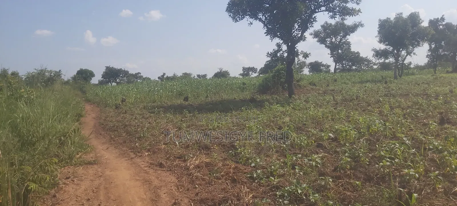 Land for Sale in Northern Uganda