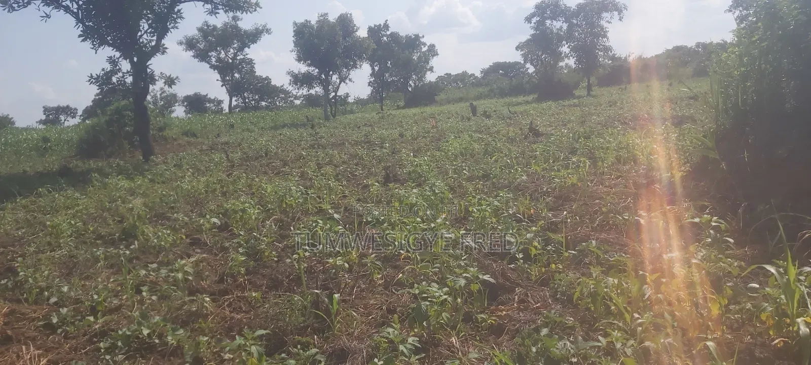 Land for Sale in Northern Uganda