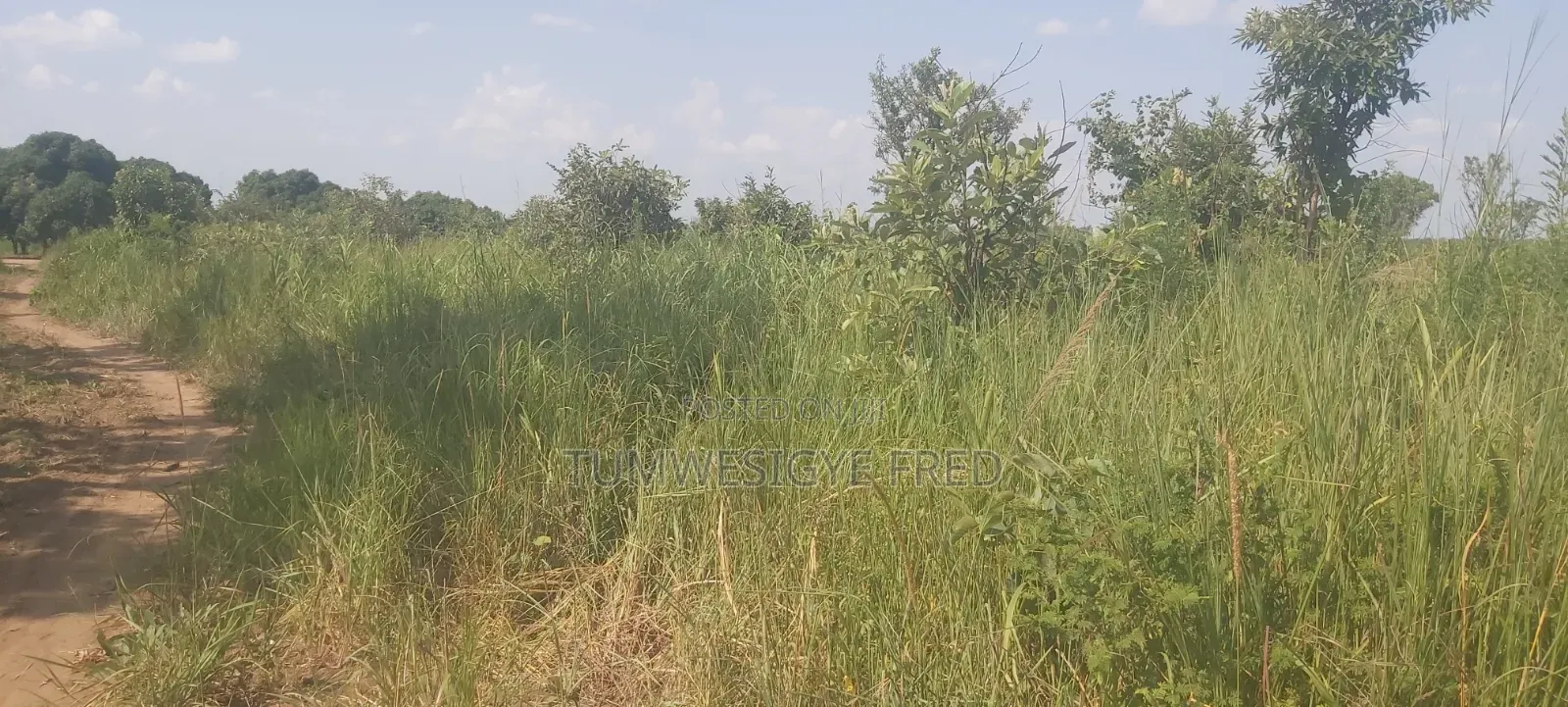 Land for Sale in Northern Uganda