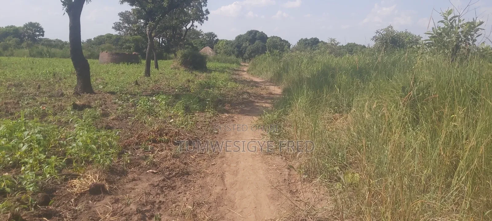 Land for Sale in Northern Uganda