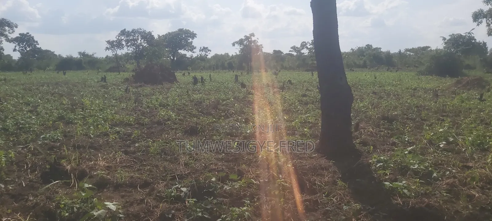 Land for Sale in Northern Uganda