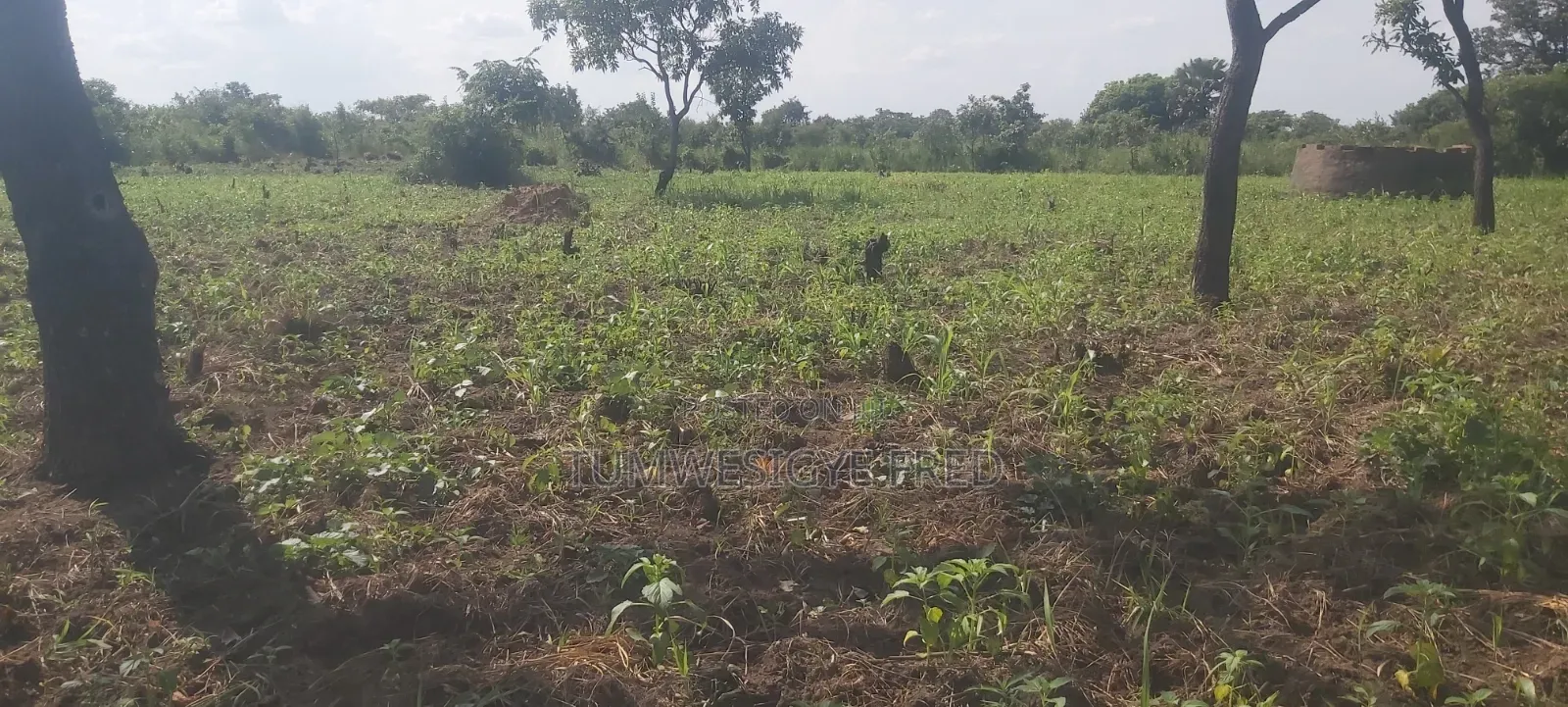 Land for Sale in Northern Uganda