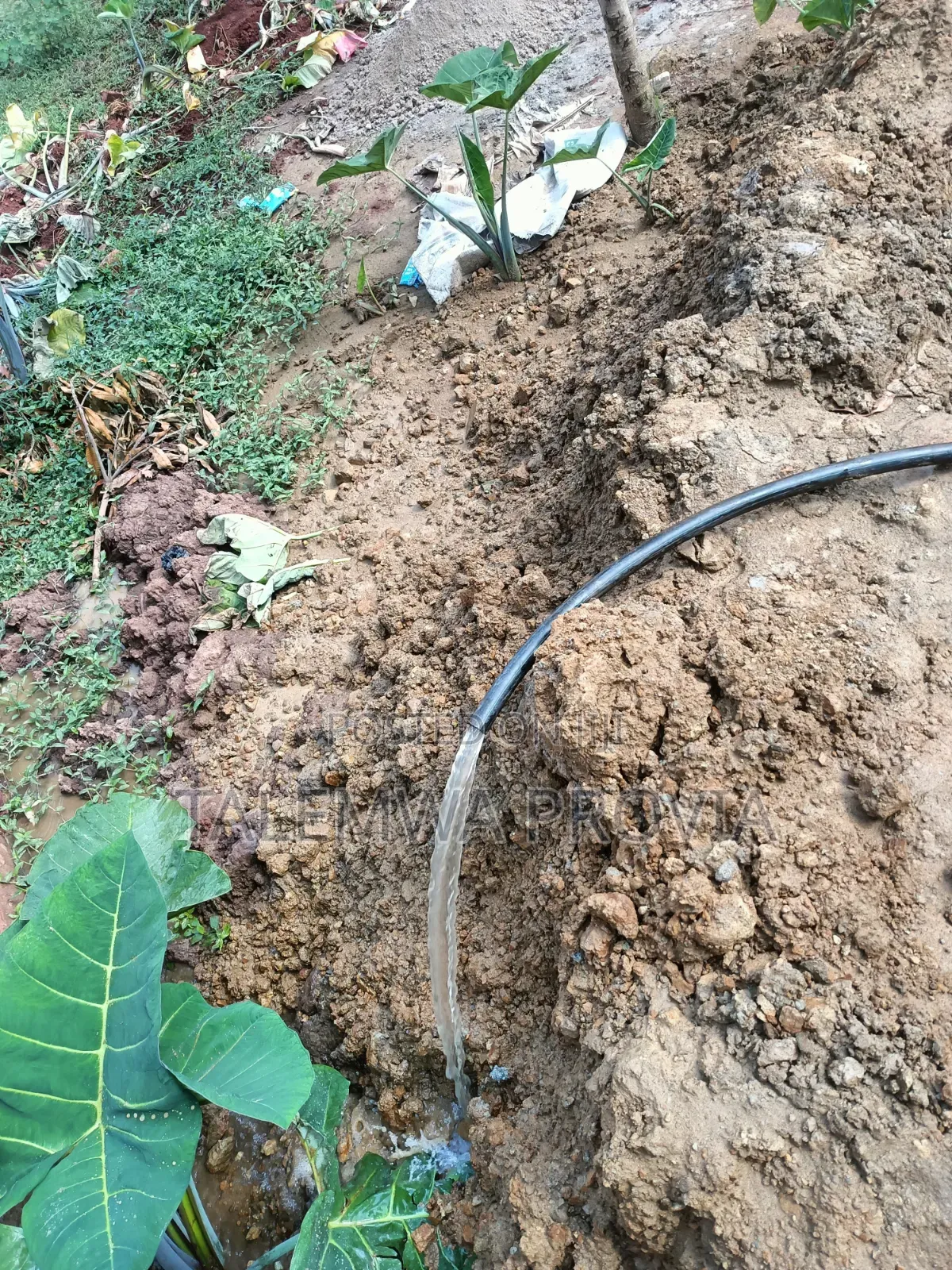 Water Drilling