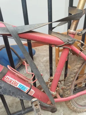 Mountain Bicycle