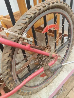 Mountain Bicycle