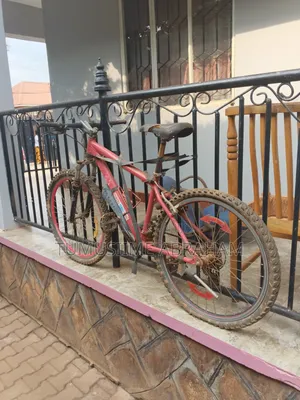 Mountain Bicycle
