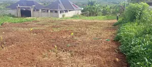 50*100 Namulonge-Busukuma (Zion-Balita Estate)
