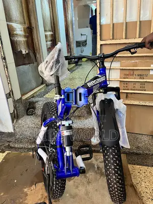 Fat Bicycle or Mountain Bike