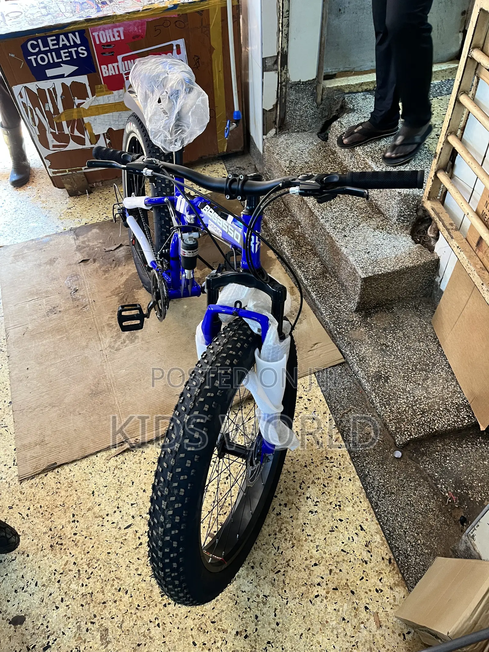 Fat Bicycle or Mountain Bike