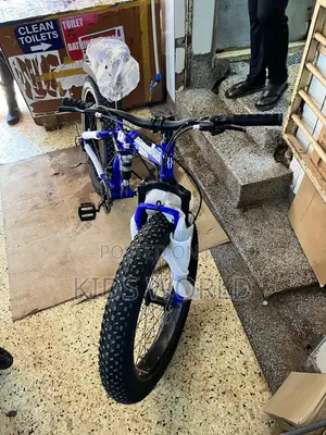 Fat Bicycle or Mountain Bike